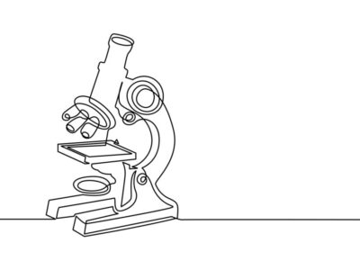 Learn to see the relationship of the parts to the whole.